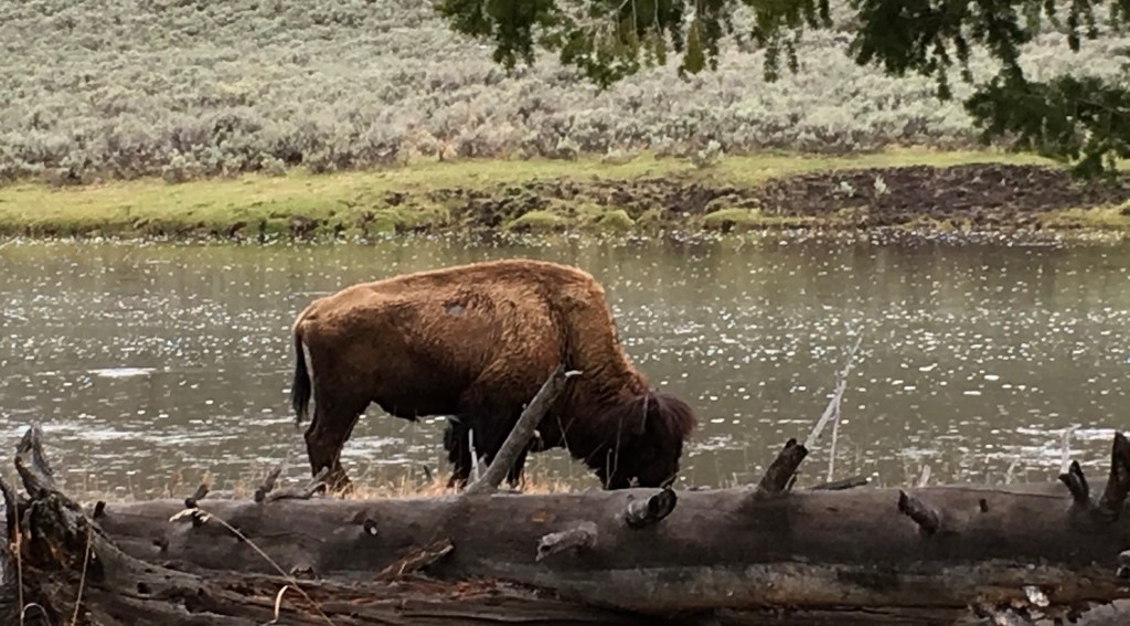 Day 15- 4 States in One&nbsp;Day